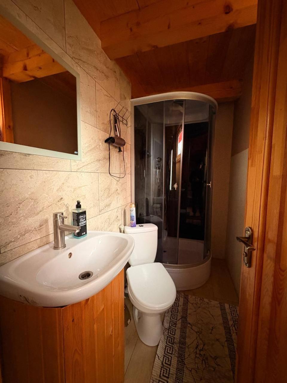 Марічка Marichka Villa Vorokhta Dış mekan fotoğraf